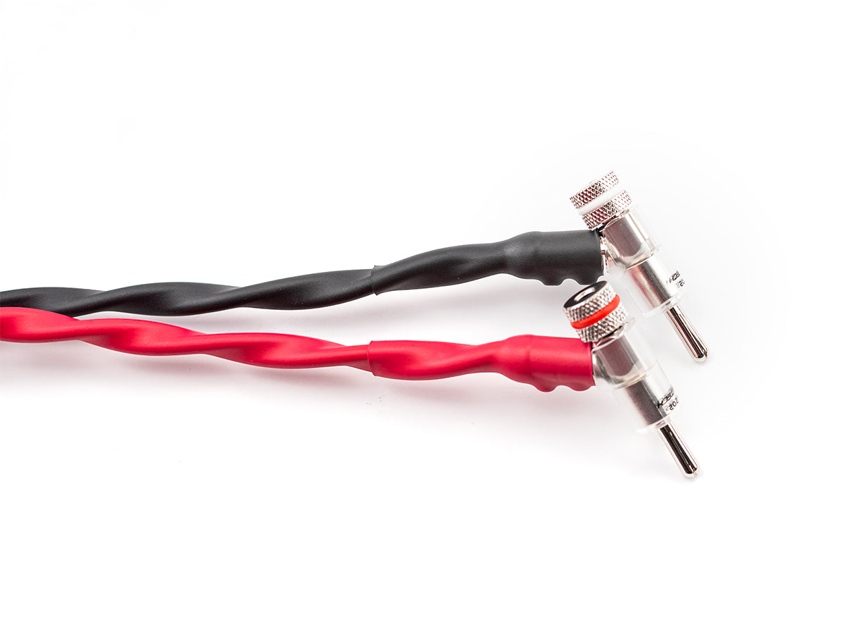 Bronze Dragon Speaker Cable