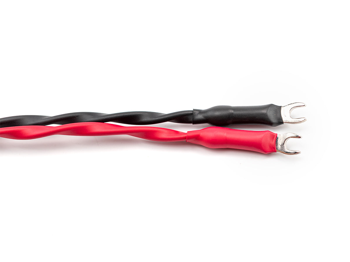 Bronze Dragon Speaker Cable