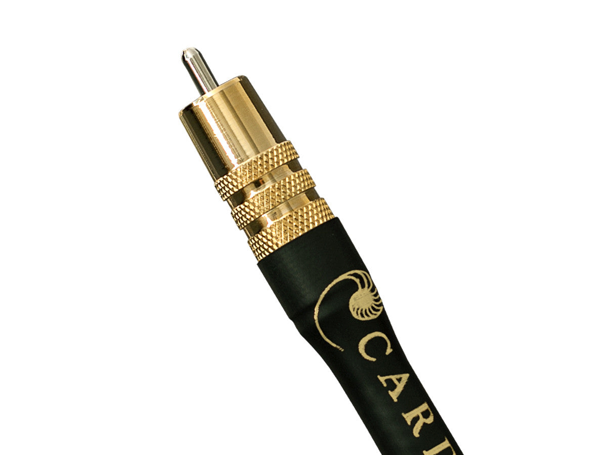Parsec Interconnect