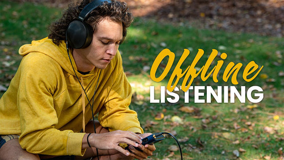 Guide: Downloading Music to Your DAP for Offline Listening