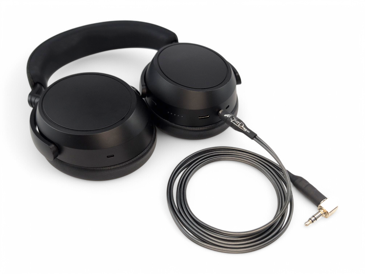 Silver Dragon Portable Headphone Cable